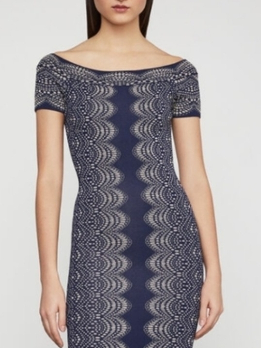 BCBGMaxAzria Kisha Lace Jaquard Dress M NWOT